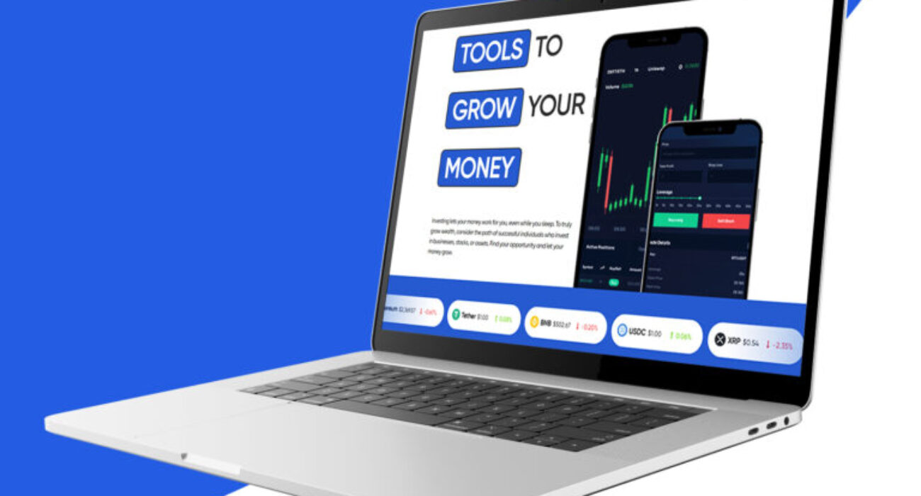 Investing business portfolio project