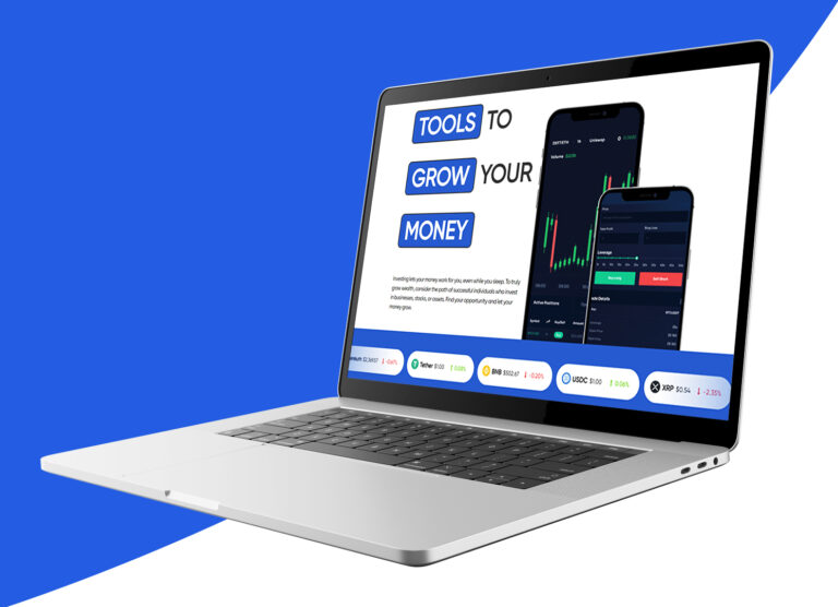 Investing business portfolio project