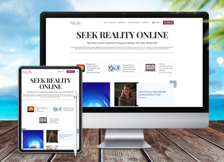 seekreailty portoflio 768x556 1